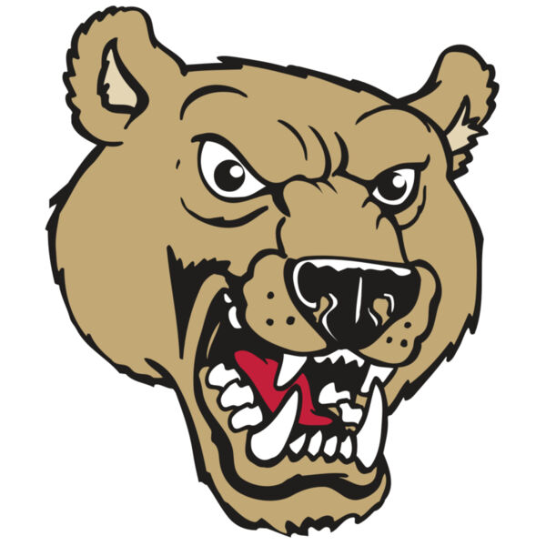 AR BEAR 09 RC Thumbnail